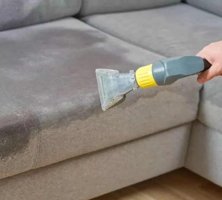 Sofa Cleaning