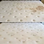 Mattress Cleaning