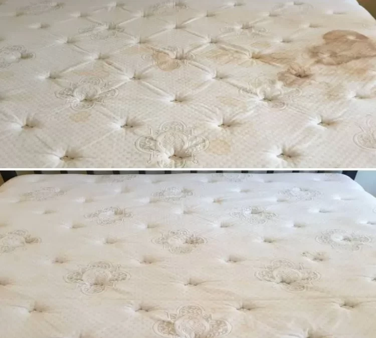 Mattress Cleaning