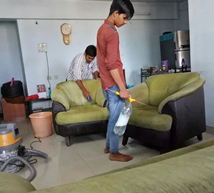 Sofa Cleaning