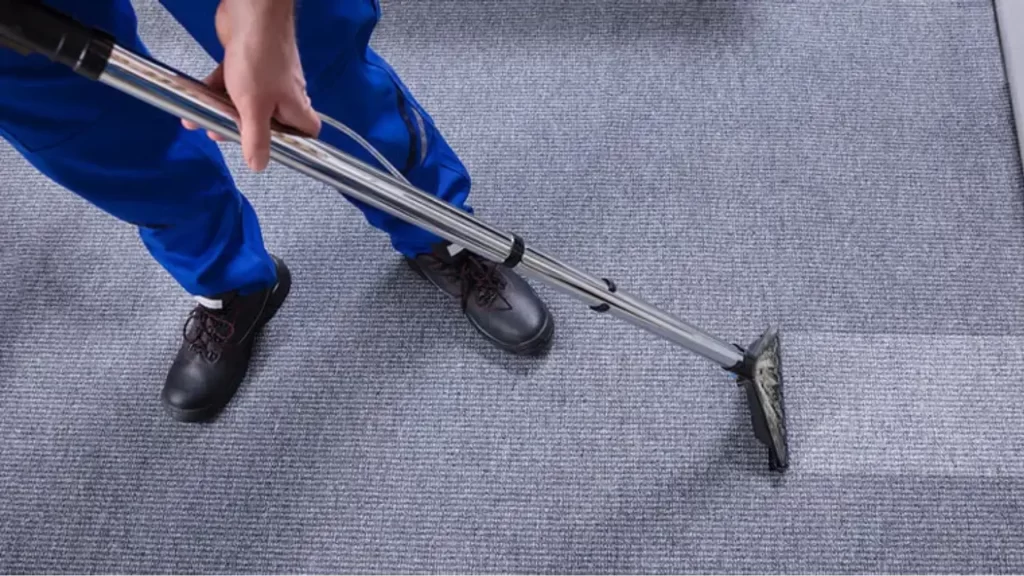 Top Carpet Cleaning Services in Orange County: Expert Steam Green Solutions for Your Home